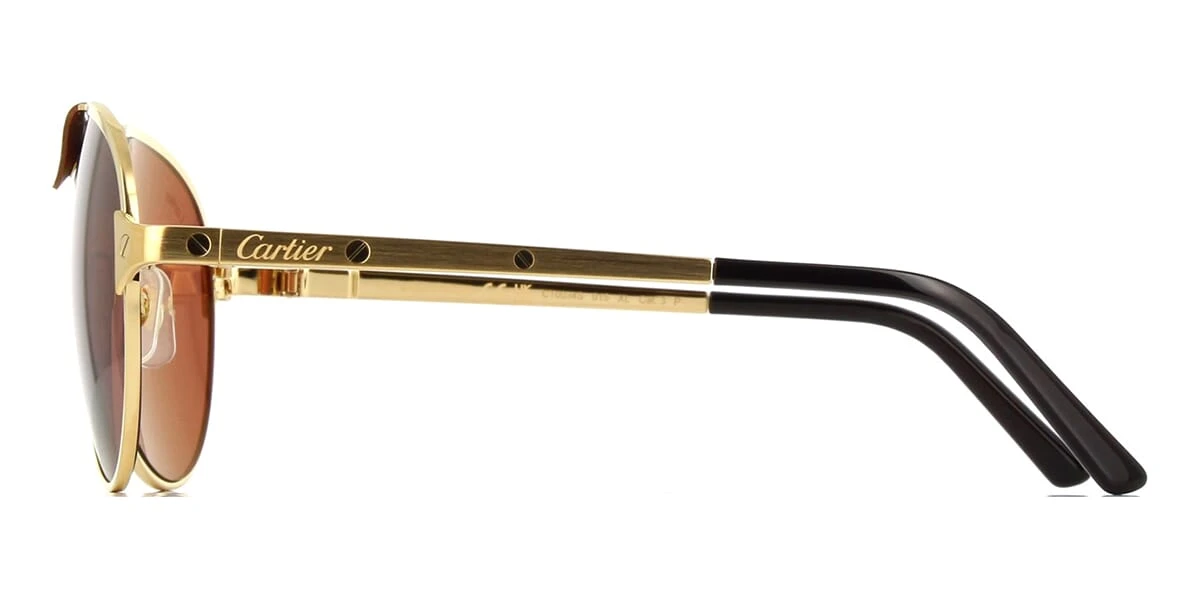 Cartier CT0034S 015 Polarised 5 Cartier CT0034S 015 Polarised - Image 3