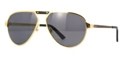 Cartier CT0101S 001 Polarised