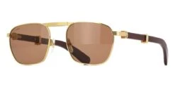 Cartier CT0428S 001 Polarised