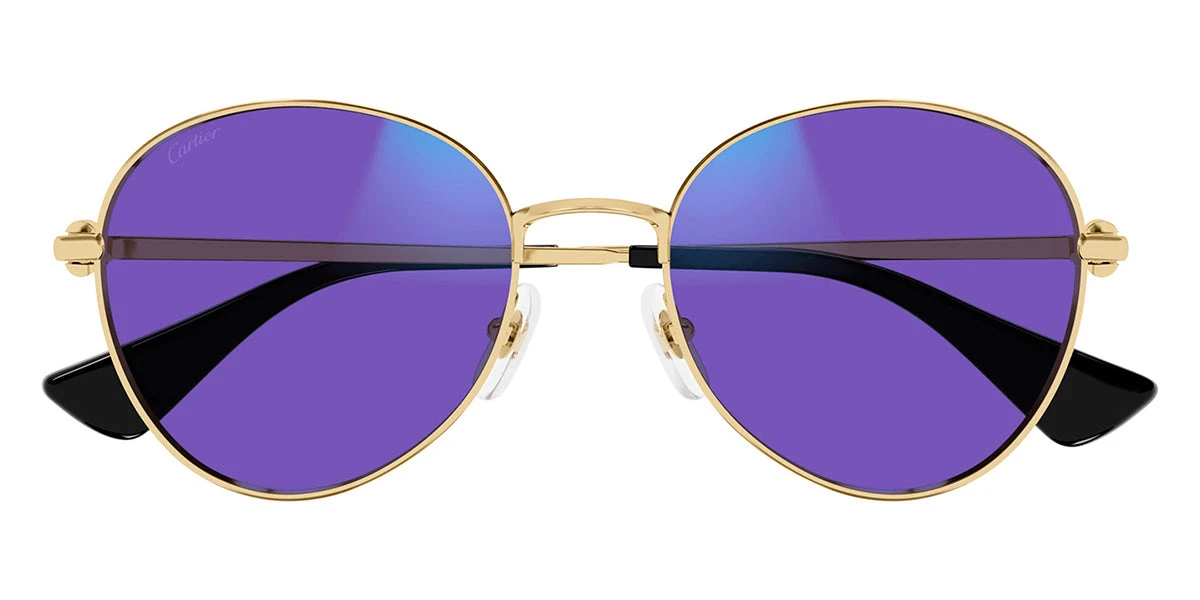 Cartier CT0449S 001 Blue & Beyond 4 Cartier CT0449S 001 Blue & Beyond - Image 2