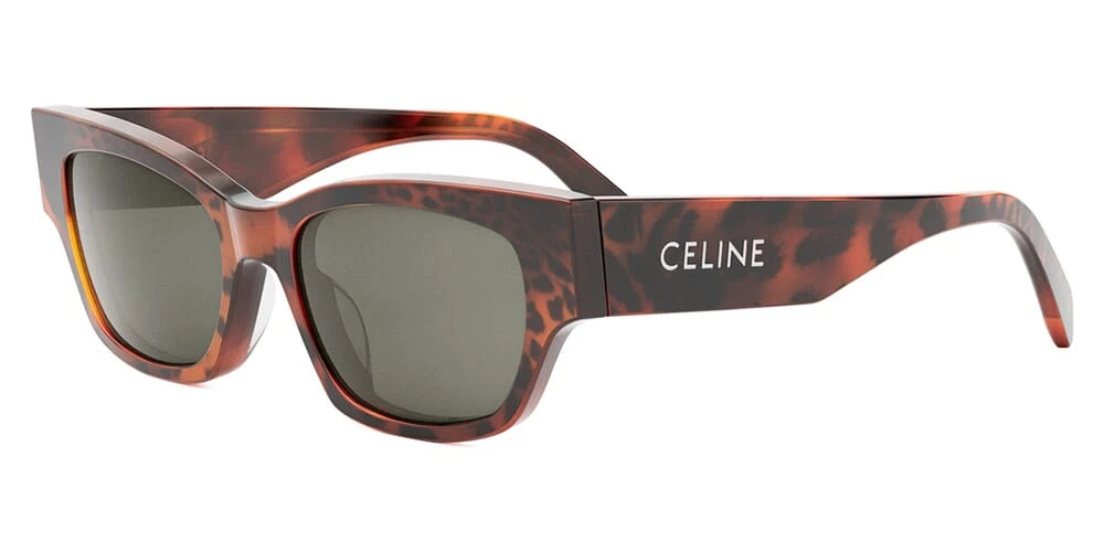 Celine CL40197U 99A 3 Celine CL40197U 99A
