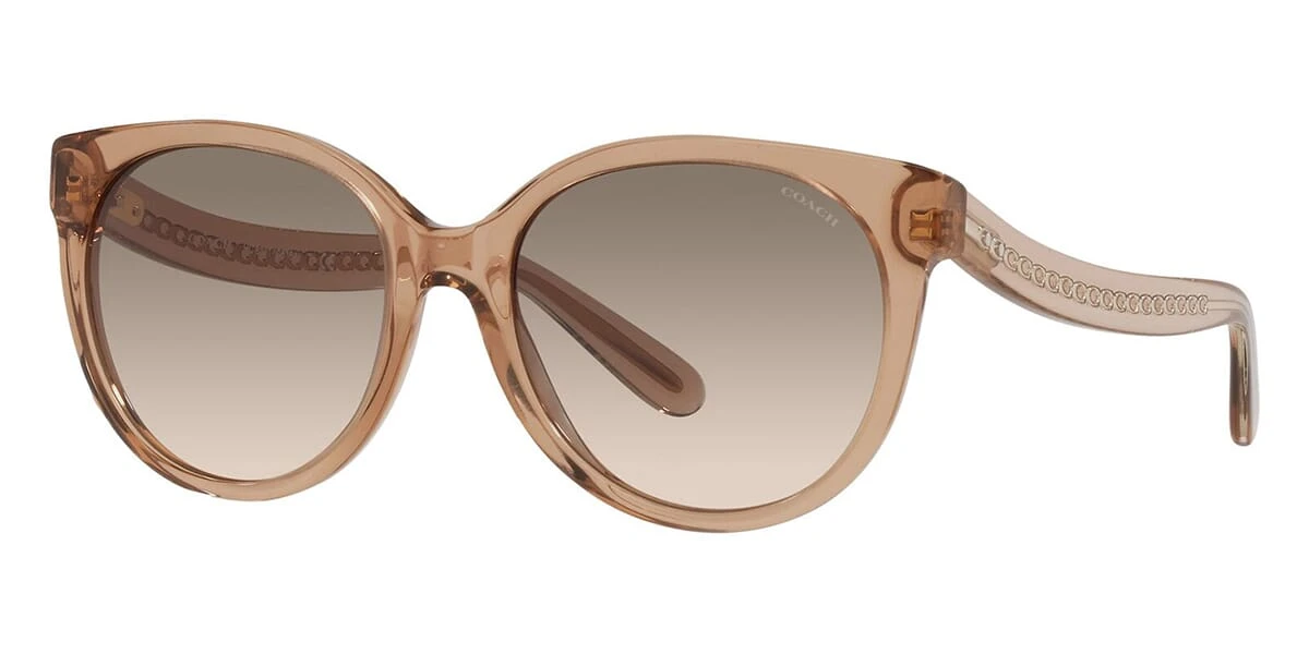 Coach C6181 HC8321 5654/13 3 Coach C6181 HC8321 5654/13