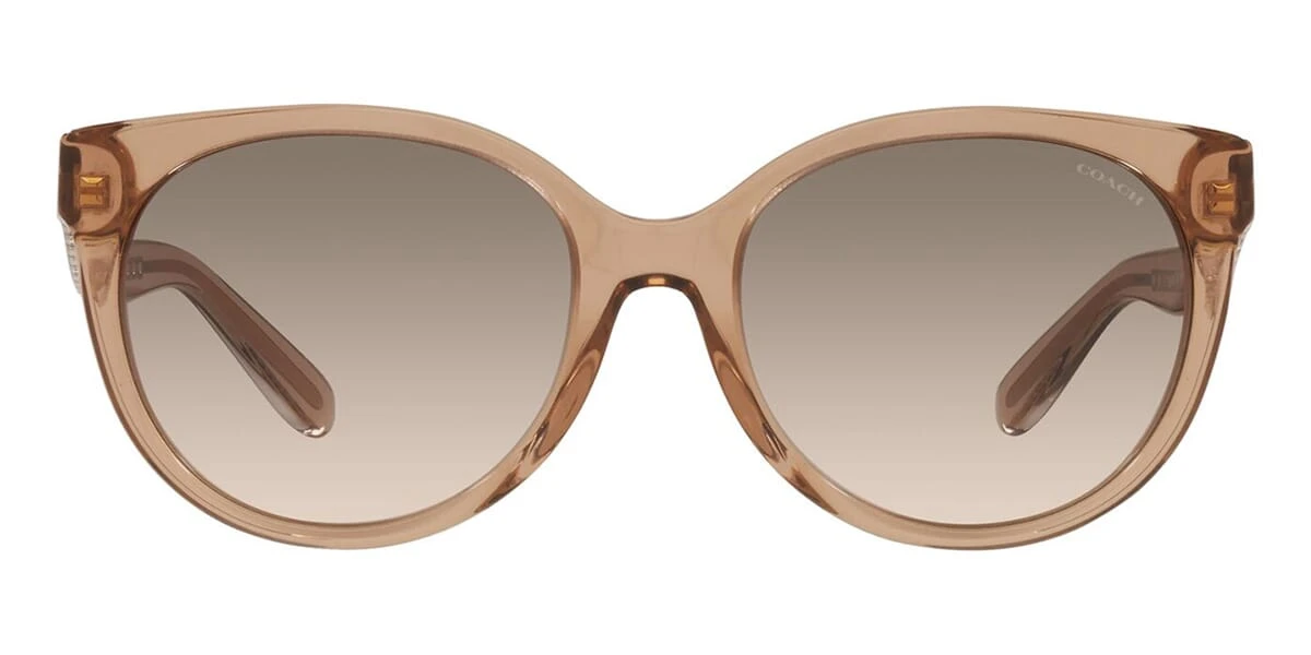 Coach C6181 HC8321 5654/13 4 Coach C6181 HC8321 5654/13 - Image 2