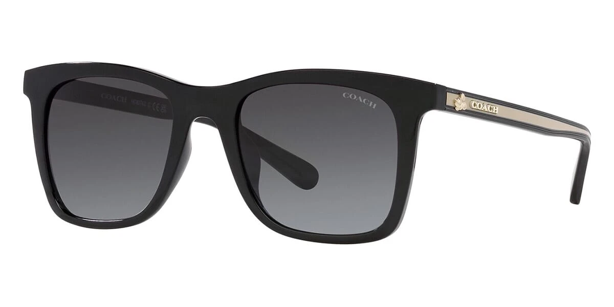 Coach CH561 HC8374U 5002/8G 3 Coach CH561 HC8374U 5002/8G