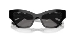 Swarovski SK6021 1001/81 Polarised -Ted Baker Sale Store swarovski sk6021 100181 polarised hd 4
