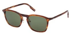 ERMENEGILDO ZEGNA Zegna EZ0211-H 56N